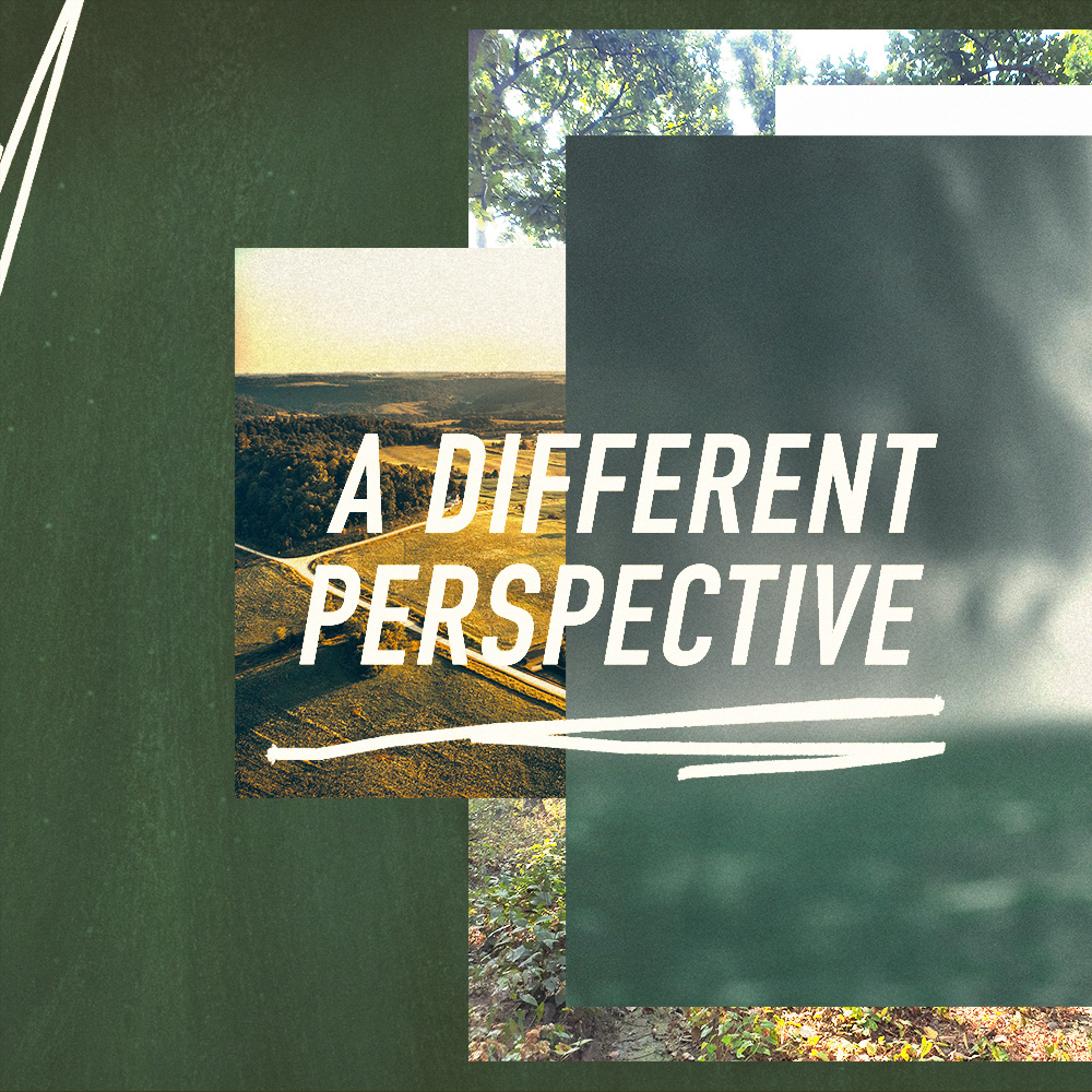 Featured image for “A Different Perspective (Matt Albritton)”
